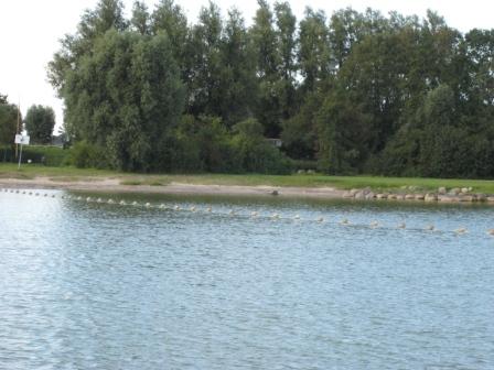 Strand en speelweide bij de jachthaven W.S.V. Broekerhaven